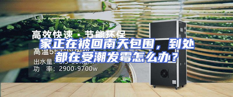 家正在被回南天包围，到处都在受潮发霉怎么办？