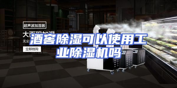 酒窖除湿可以使用工业除湿机吗