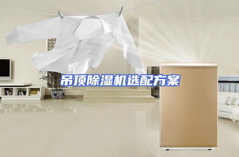 吊顶除湿机选配方案