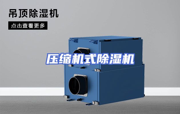 压缩机式除湿机