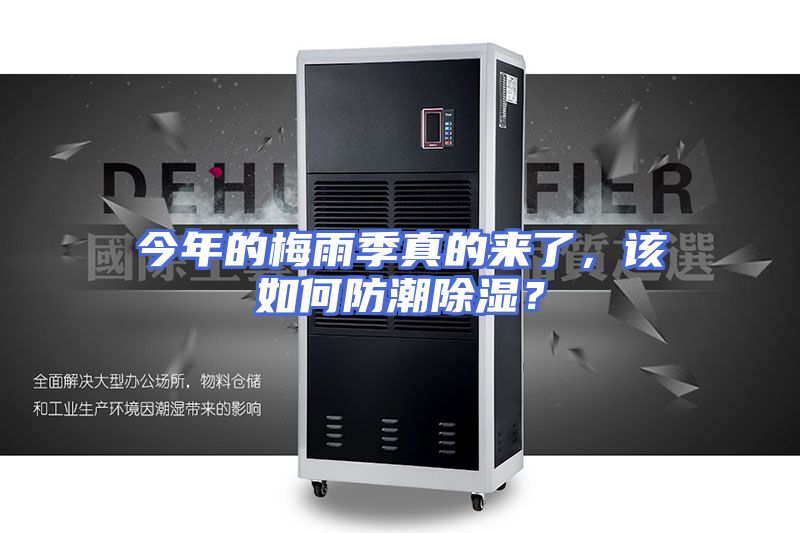 今年的梅雨季真的来了，该如何防潮除湿？