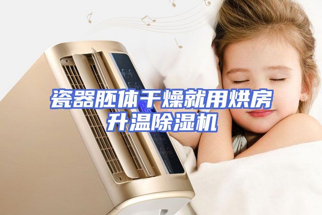 瓷器胚体干燥就用烘房升温除湿机