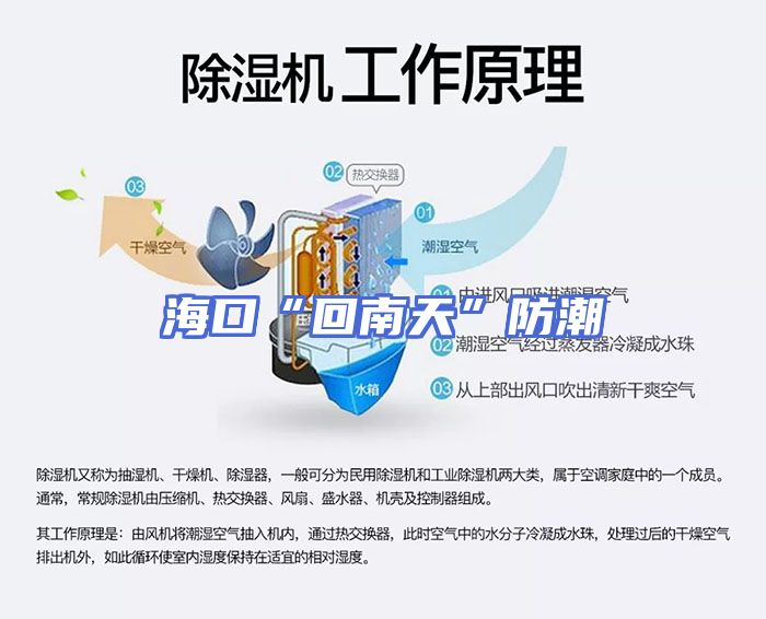海口“回南天”防潮