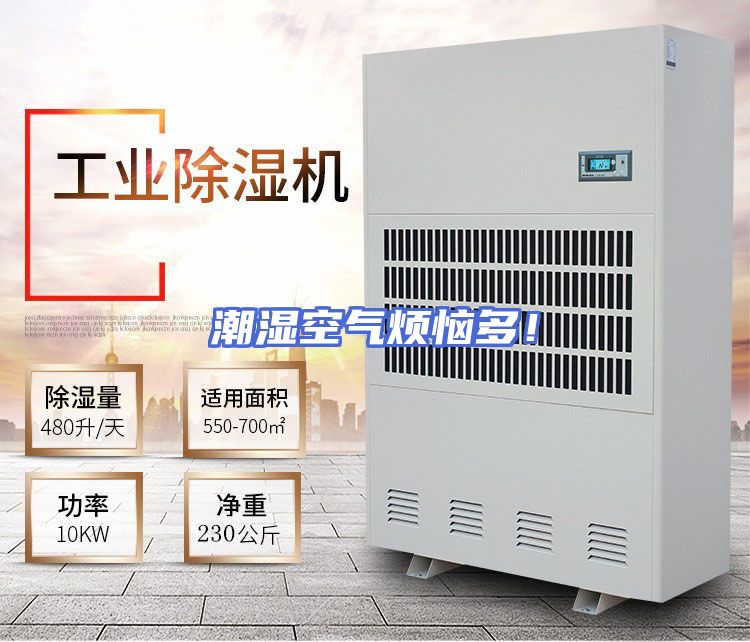 潮湿空气烦恼多！