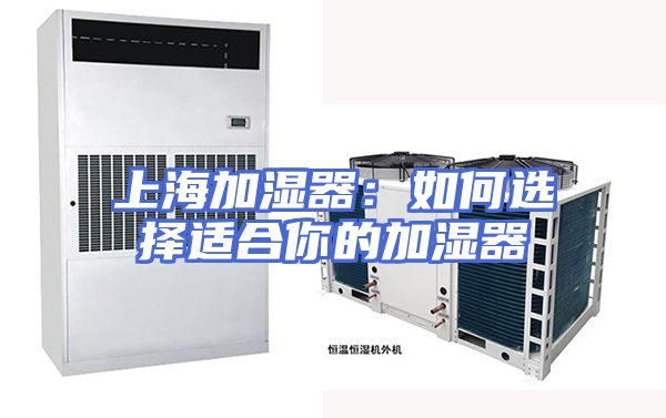 上海加湿器：如何选择适合你的加湿器