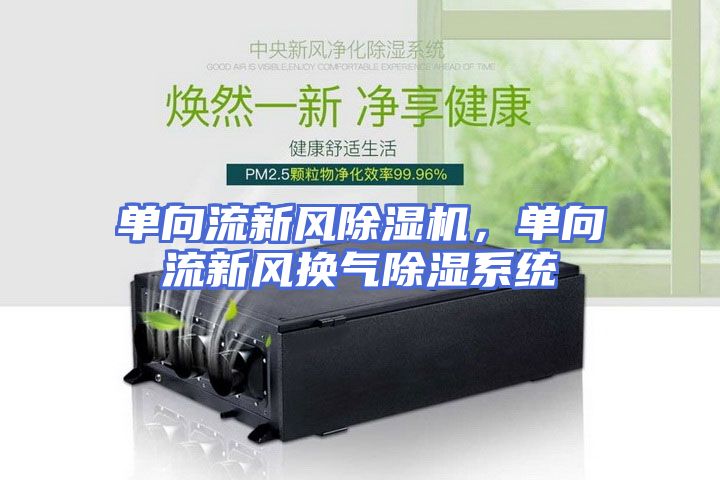 单向流新风除湿机，单向流新风换气除湿系统