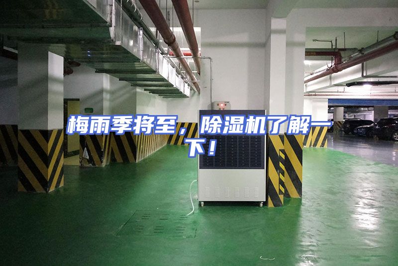 梅雨季将至，除湿机了解一下！
