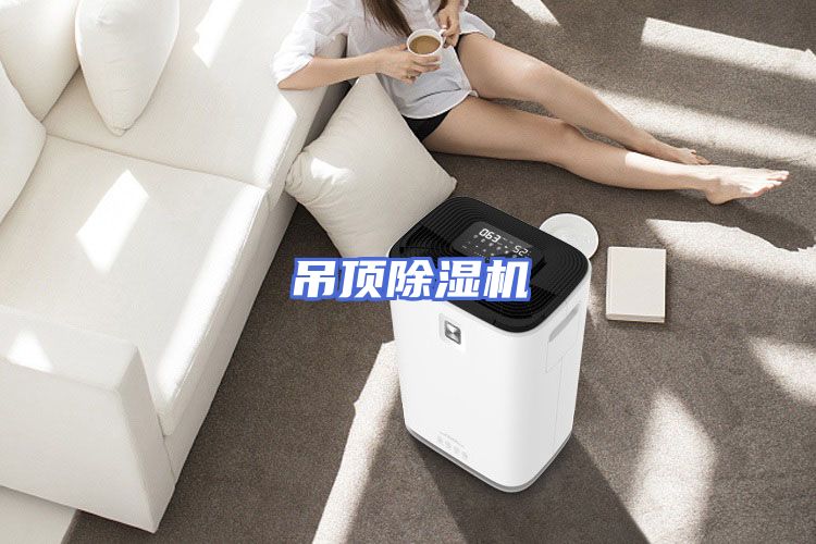 吊顶除湿机