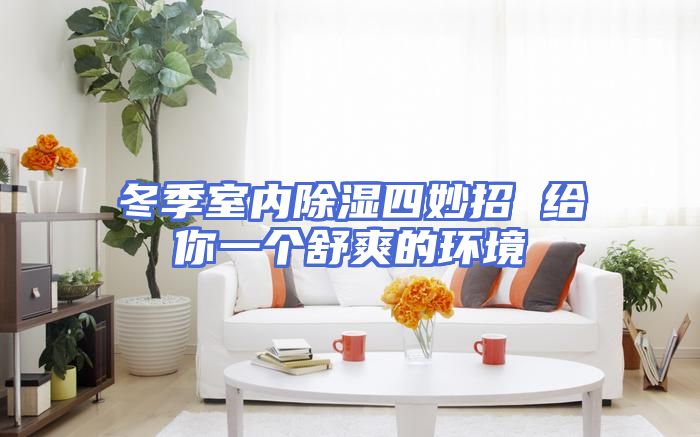 冬季室内除湿四妙招 给你一个舒爽的环境