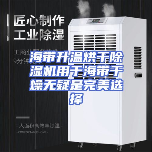 海带升温烘干除湿机用于海带干燥无疑是完美选择