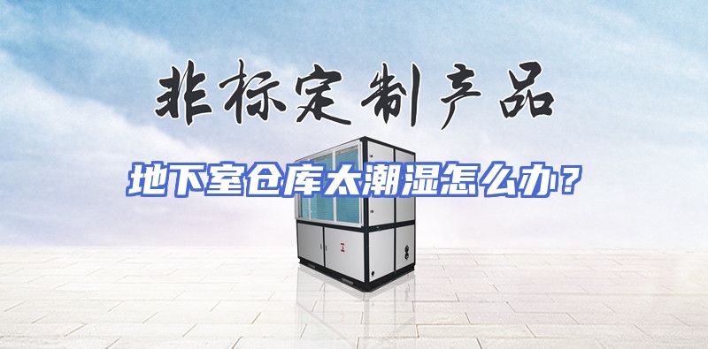 地下室仓库太潮湿怎么办？