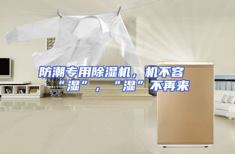 防潮专用除湿机，机不容“湿”，“湿”不再来