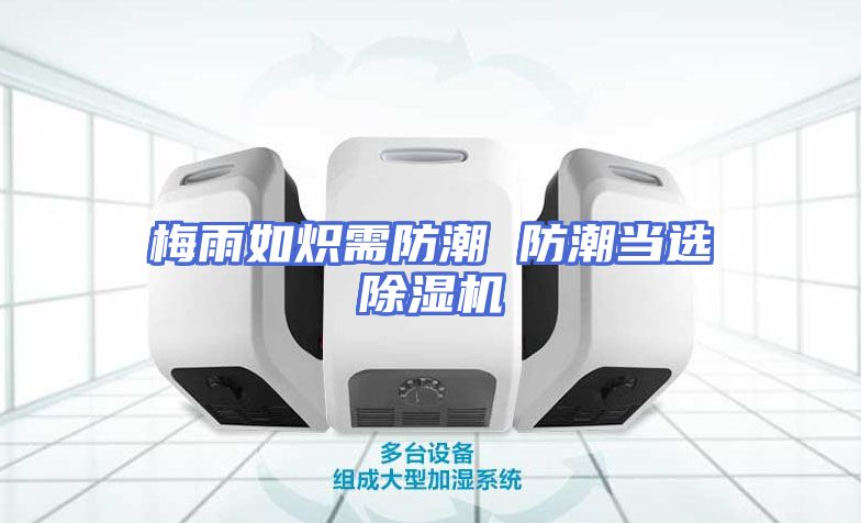 梅雨如炽需防潮 防潮当选除湿机