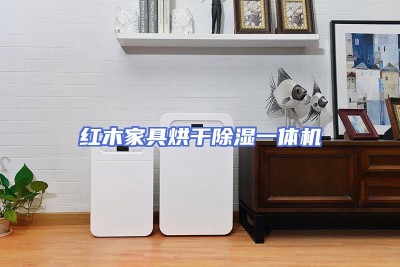 红木家具烘干除湿一体机