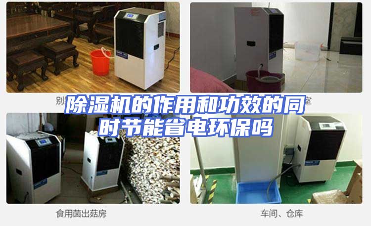 除湿机的作用和功效的同时节能省电环保吗