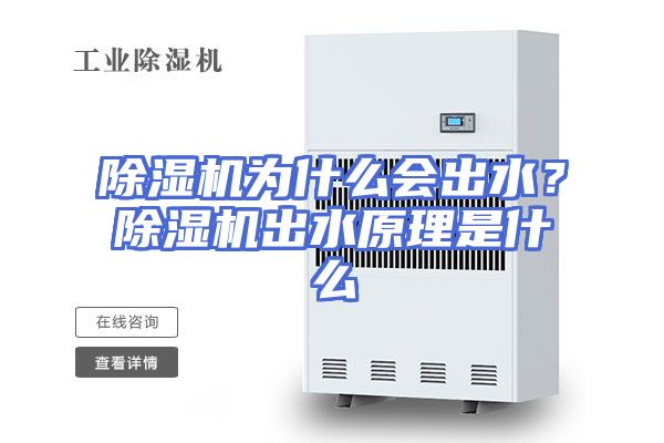 除湿机为什么会出水？除湿机出水原理是什么