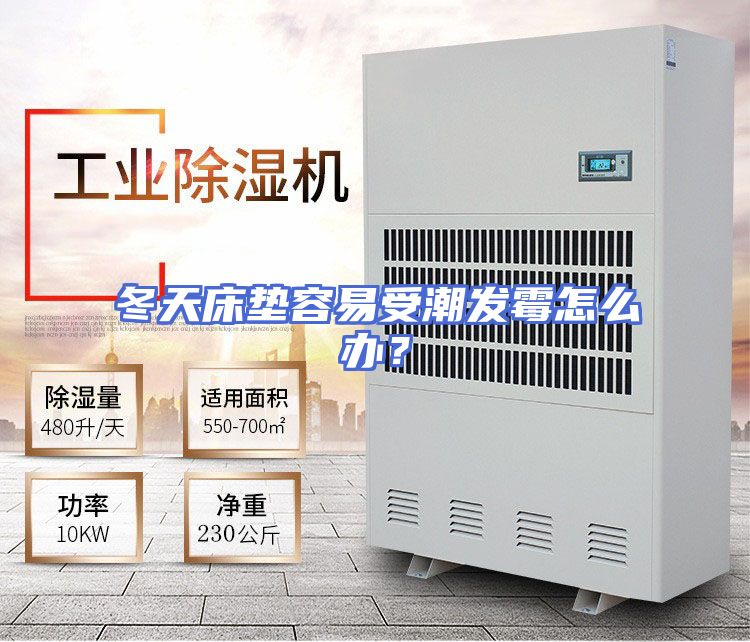 冬天床垫容易受潮发霉怎么办？