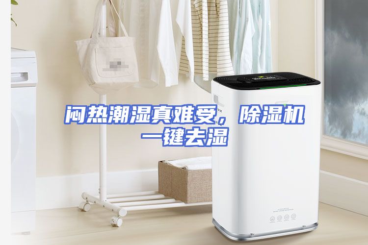 闷热潮湿真难受，除湿机一键去湿