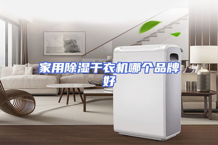家用除湿干衣机哪个品牌好