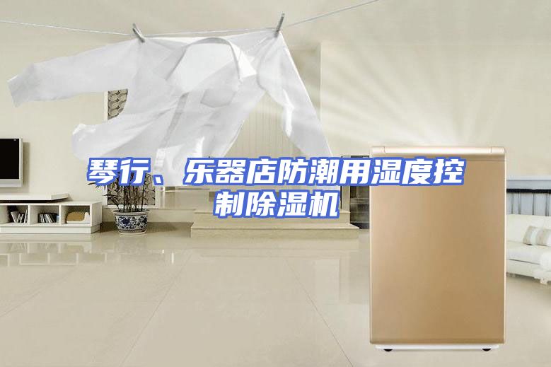 琴行、乐器店防潮用湿度控制除湿机