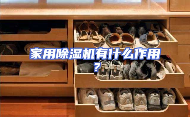家用除湿机有什么作用？