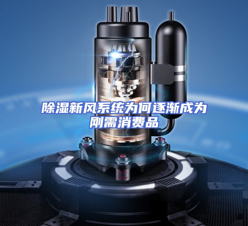 除湿新风系统为何逐渐成为刚需消费品
