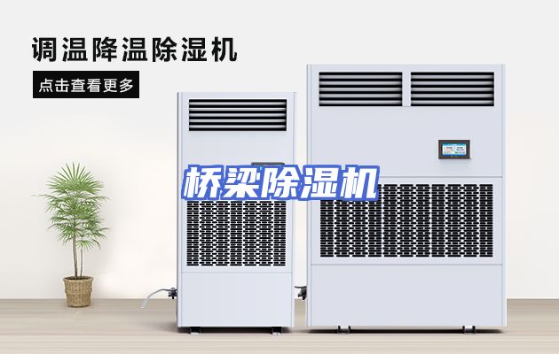 桥梁除湿机
