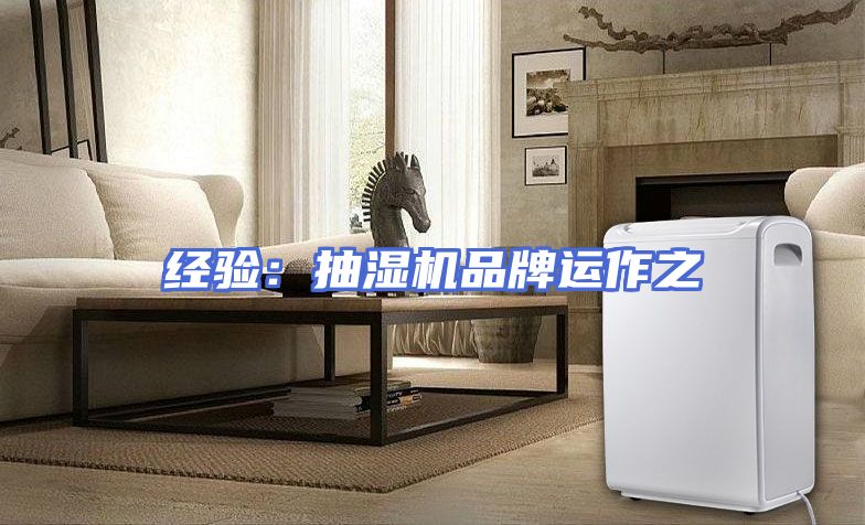 经验：抽湿机品牌运作之