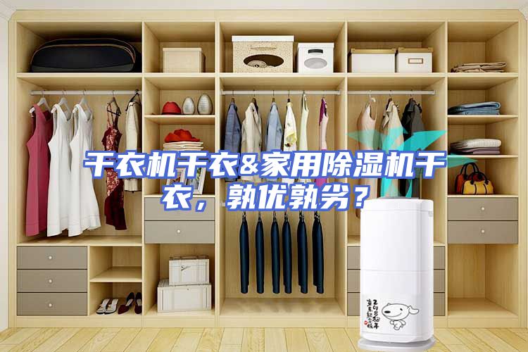 干衣机干衣&家用除湿机干衣，孰优孰劣？