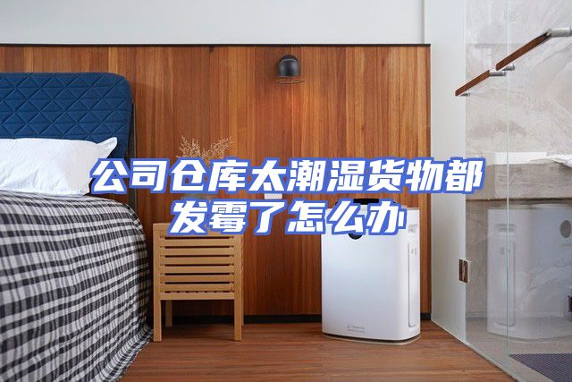公司仓库太潮湿货物都发霉了怎么办