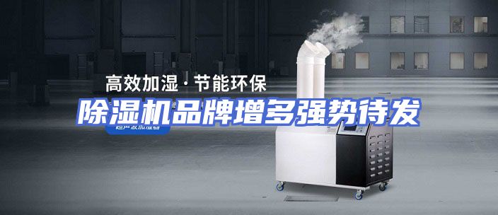 除湿机品牌增多强势待发