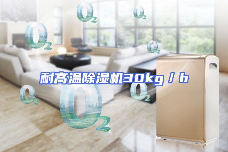 耐高温除湿机30kg／h