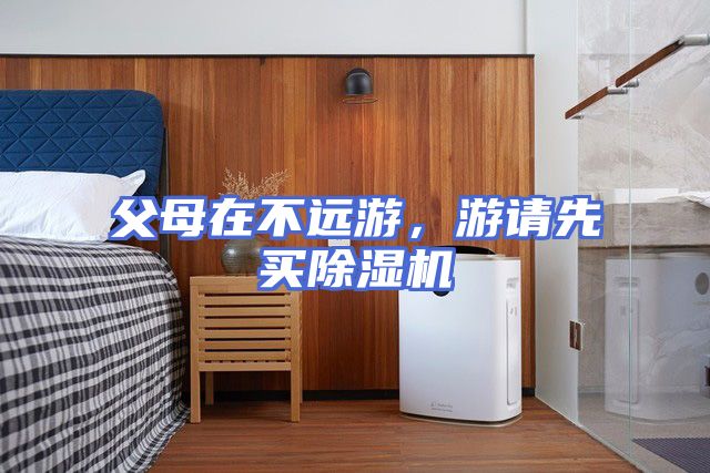 父母在不远游，游请先买除湿机