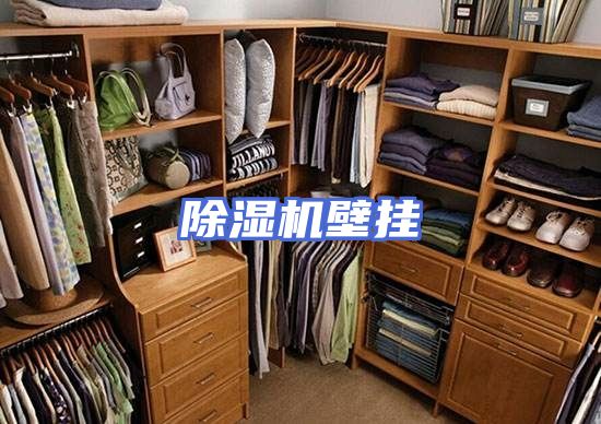 除湿机壁挂