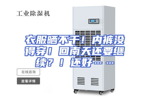 衣服晒不干！内裤没得穿！回南天还要继续？！还好……