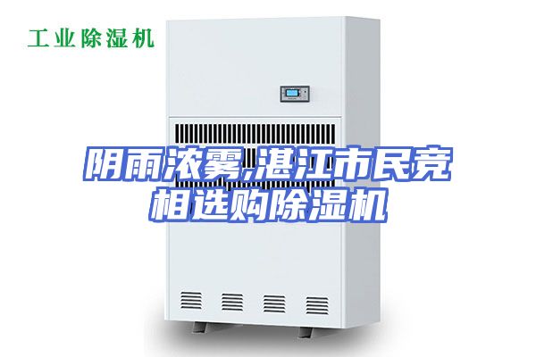 阴雨浓雾,湛江市民竞相选购除湿机