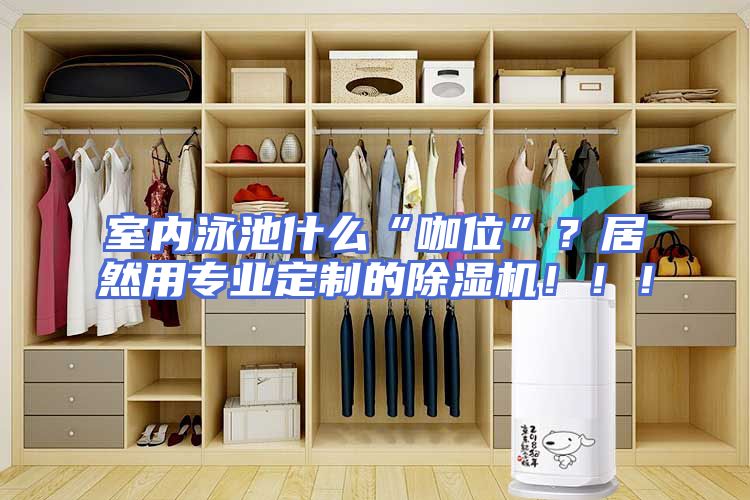 室内泳池什么“咖位”？居然用专业定制的除湿机！！！