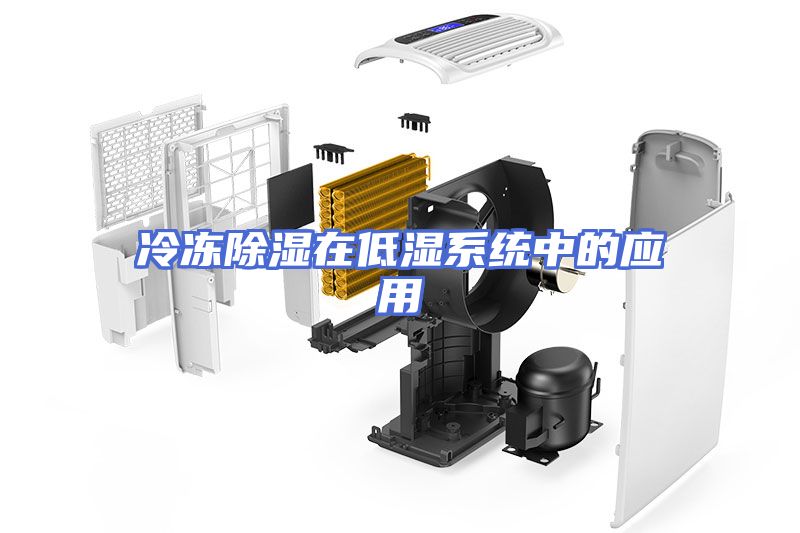 冷冻除湿在低湿系统中的应用