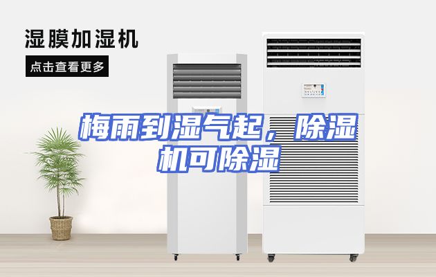 梅雨到湿气起，除湿机可除湿