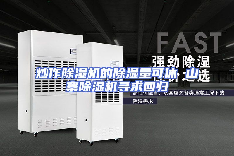 炒作除湿机的除湿量可休 山寨除湿机寻求回归