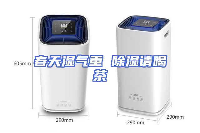 春天湿气重 除湿请喝茶