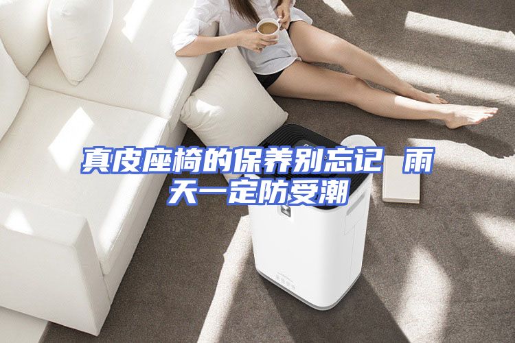 真皮座椅的保养别忘记 雨天一定防受潮