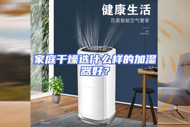家庭干燥选什么样的加湿器好？