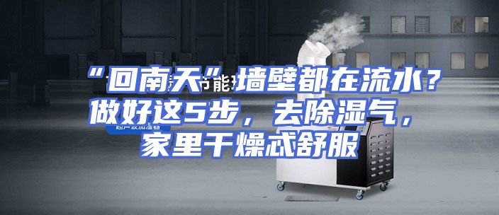 “回南天”墙壁都在流水？做好这5步，去除湿气，家里干燥忒舒服