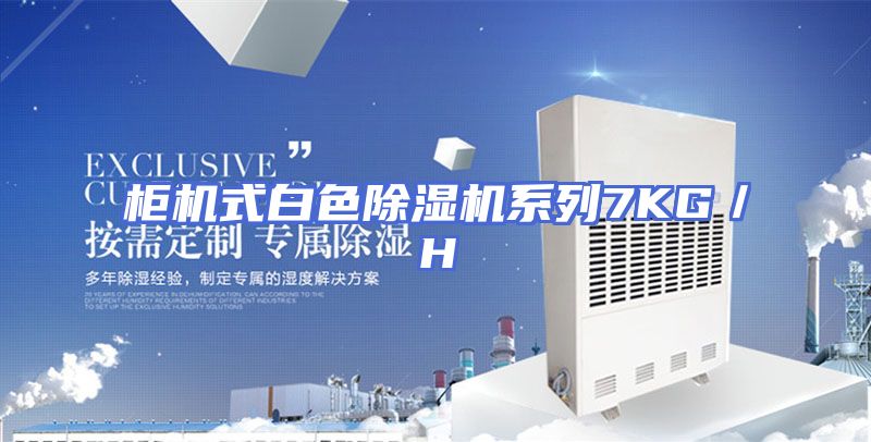 柜机式白色除湿机系列7KG／H
