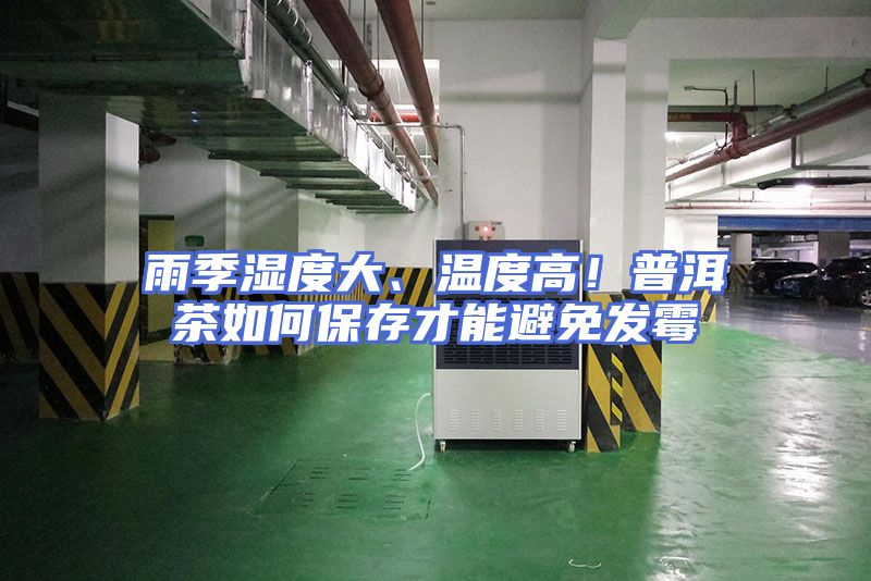 雨季湿度大、温度高！普洱茶如何保存才能避免发霉