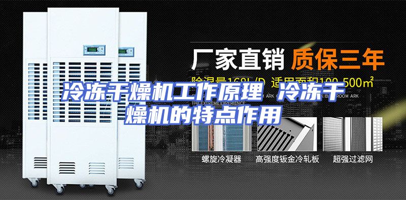 冷冻干燥机工作原理 冷冻干燥机的特点作用