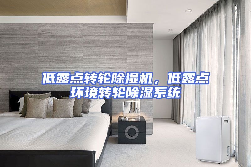 低露点转轮除湿机，低露点环境转轮除湿系统