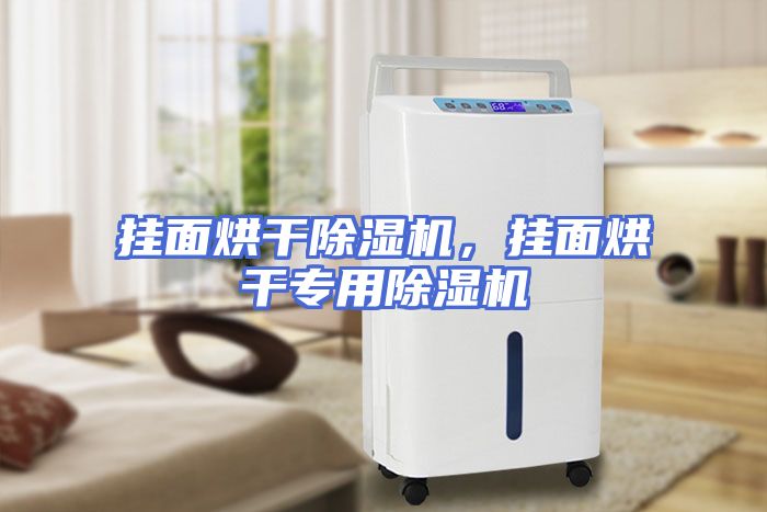挂面烘干除湿机，挂面烘干专用除湿机