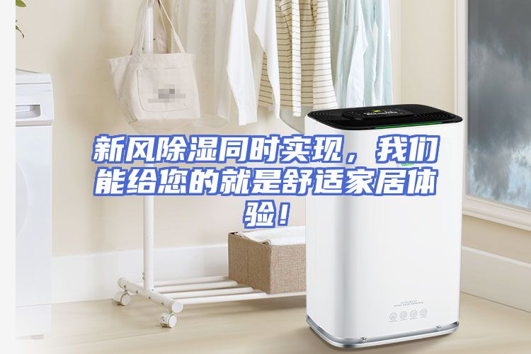 新风除湿同时实现，我们能给您的就是舒适家居体验！